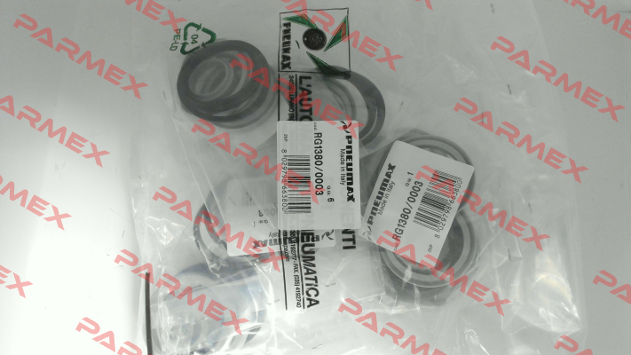 RG1380/0003 Pneumax