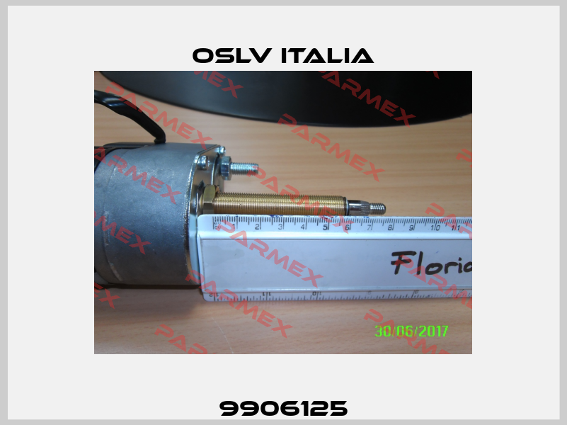 9906125 OSLV Italia