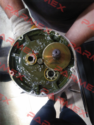 RNS 3H02S165-Y Sesame Motor