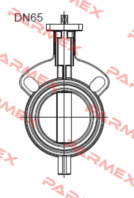 WA DN65  End Armaturen