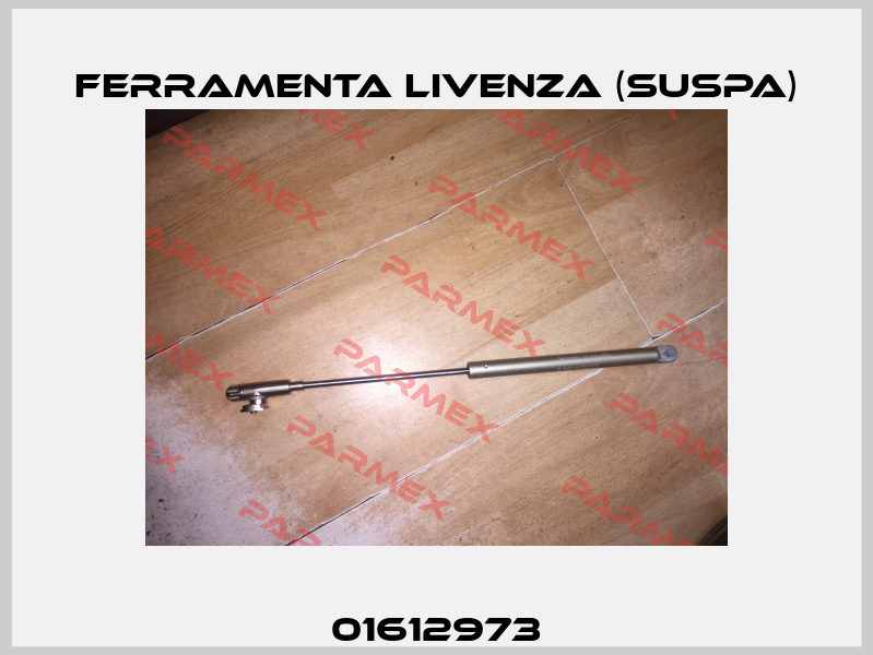 01612973 Ferramenta Livenza (Suspa)