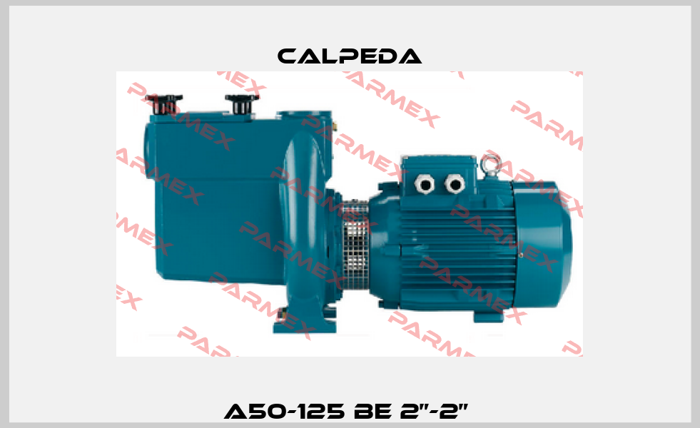 A50-125 BE 2”-2”  Calpeda