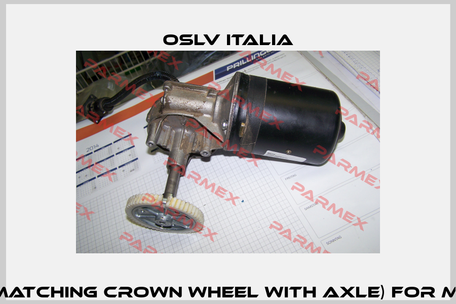 spareparts (Matching crown wheel with axle) for motor 9901007  OSLV Italia