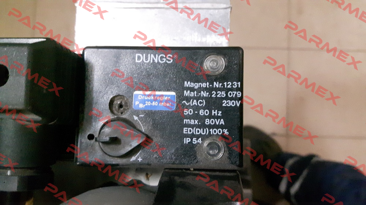 228295 (1231 AC 230 V IP 54) Dungs