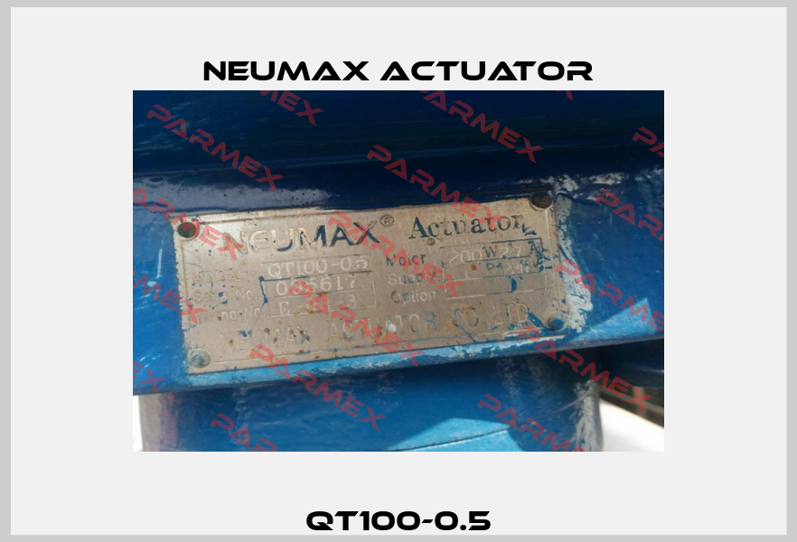 QT100-0.5 Neumax Actuator