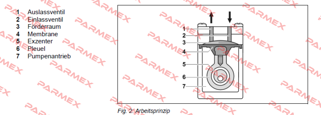 Pos.6(fiig.2) for membrane for NF 300 TT.27АА  KNF