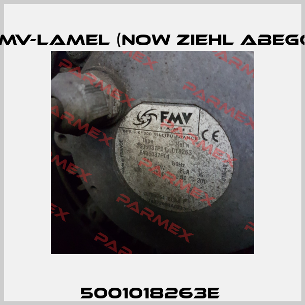 5001018263E  FMV-Lamel (now Ziehl Abegg)