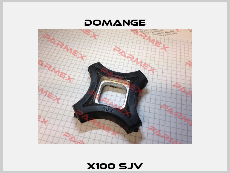 X100 SJV Domange