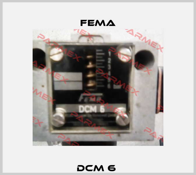 DCM 6  FEMA
