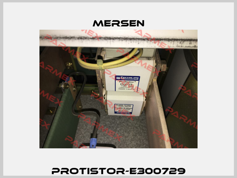 Protistor-E300729 Mersen