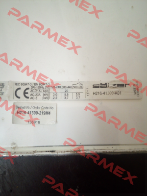 H216-41300-219M4 Salzer