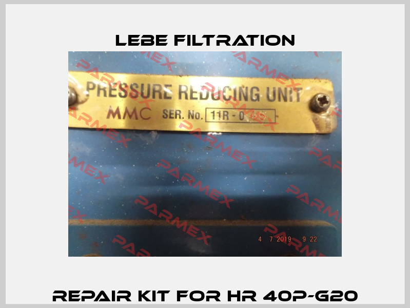 REPAIR KIT FOR HR 40P-G20 Lebe Filtration