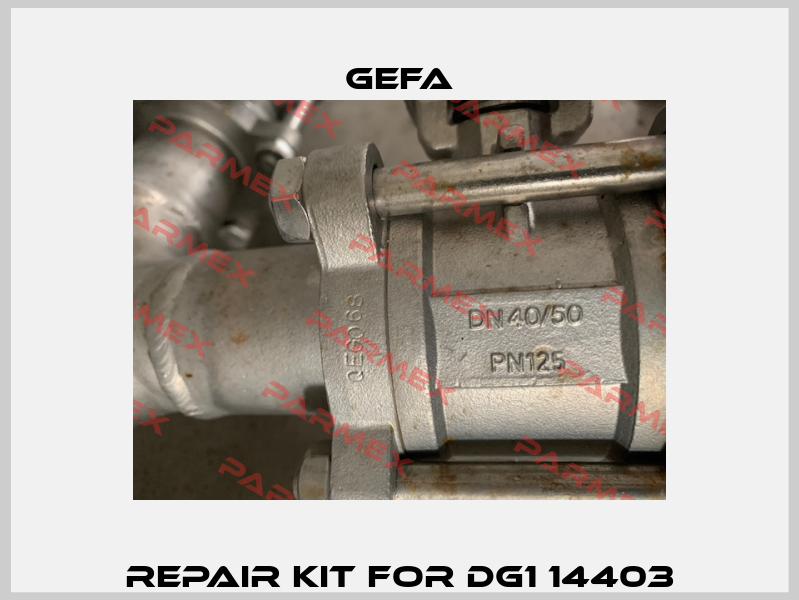 Repair kit for DG1 14403 Gefa