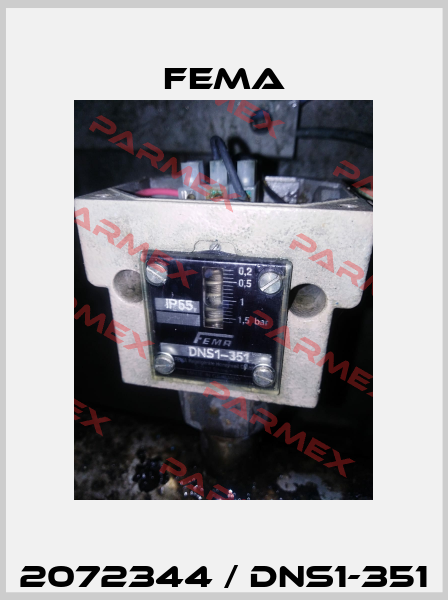 2072344 / DNS1-351 FEMA