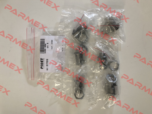 8177019 Pinet