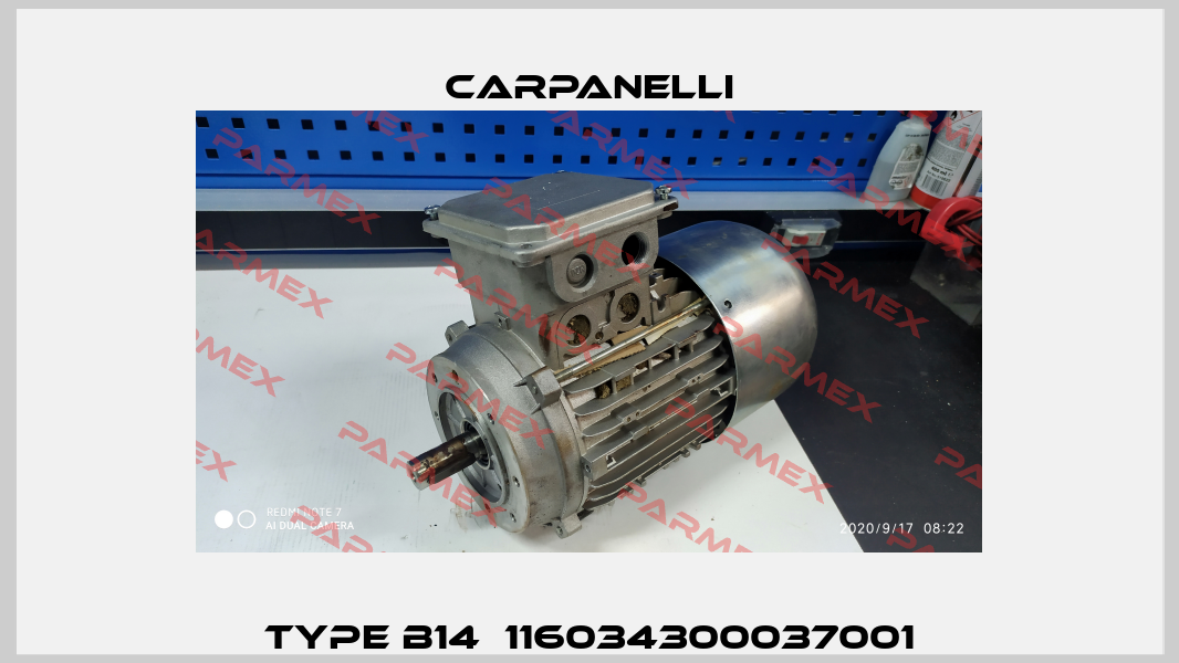 TYPE B14  116034300037001 Carpanelli