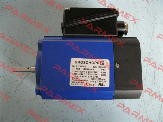 IGLU80-40/Z14 (250:1) Groschopp