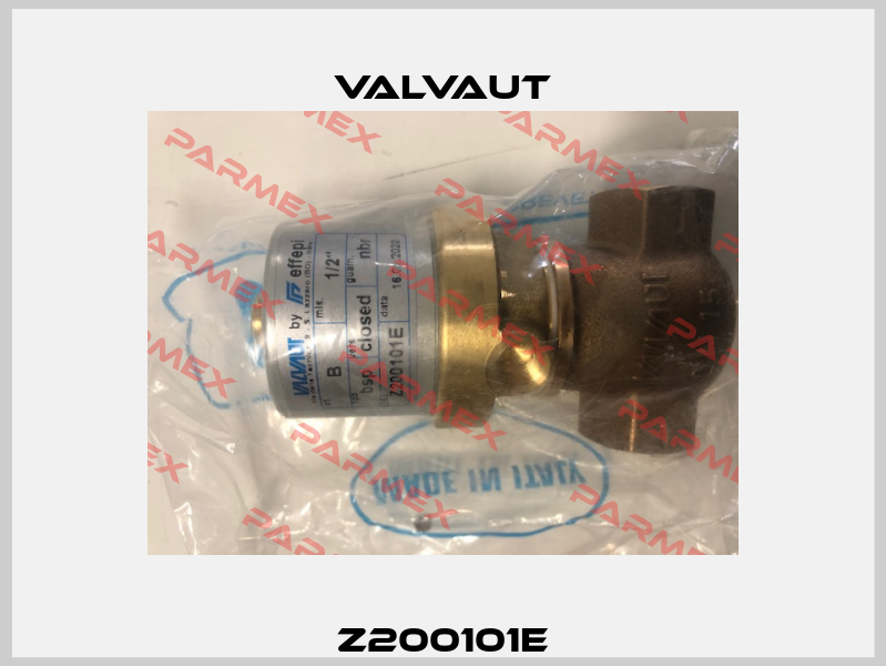 Z200101E Valvaut