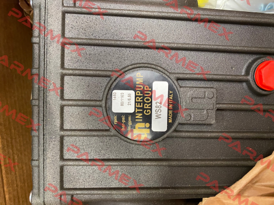 WS82 Interpump