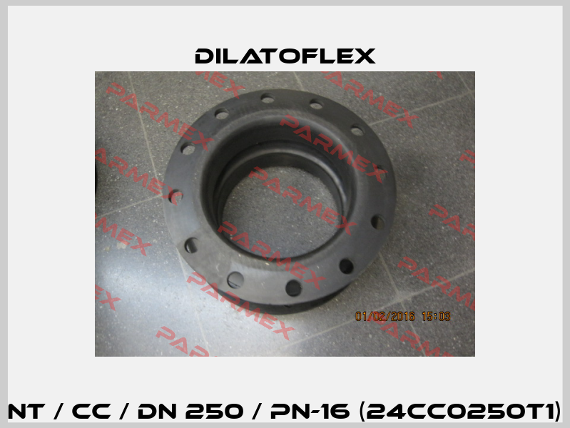 NT / CC / DN 250 / PN-16 (24CC0250T1) DILATOFLEX