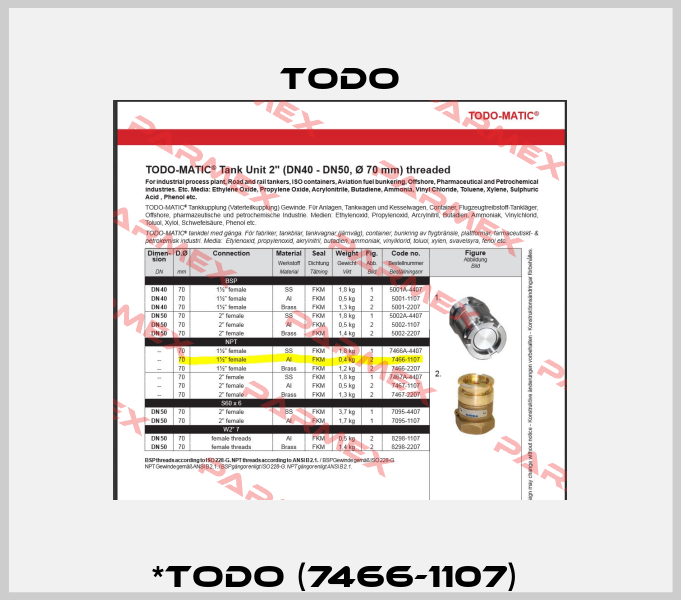 *TODO (7466-1107)  Todo