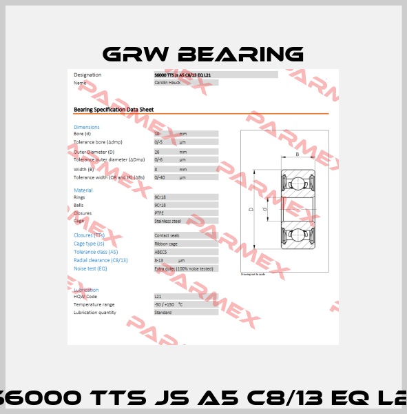 S6000 TTS Js A5 C8/13 EQ L21 GRW Bearing