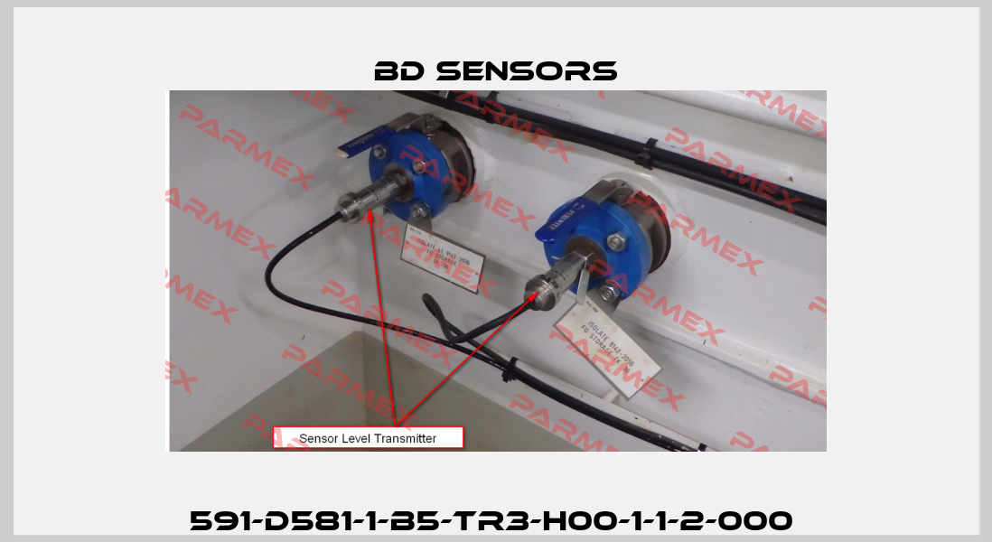 591-D581-1-B5-TR3-H00-1-1-2-000  Bd Sensors