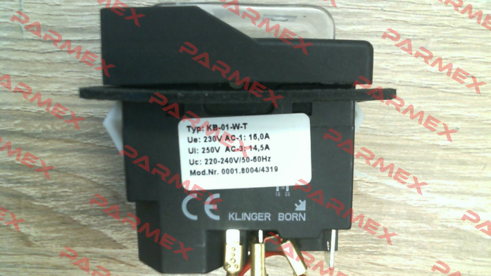 0001.8004 Klinger Born