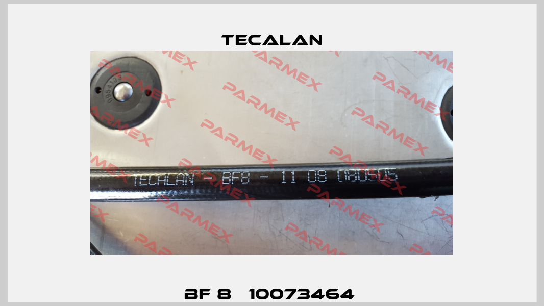 BF 8   10073464  Tecalan