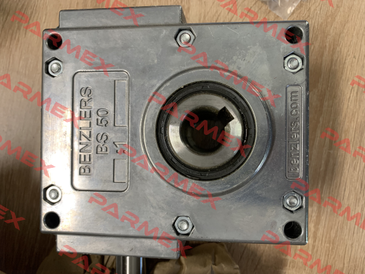 BS50 I 00 – P 2 Benzlers