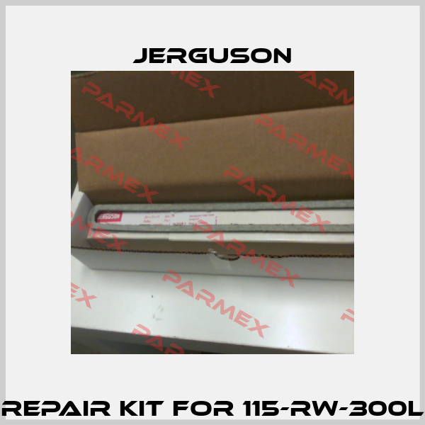Repair Kit for 115-RW-300L Jerguson