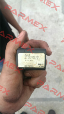 34331303 Burkert