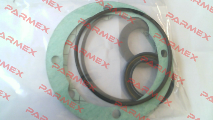 Seal KIT for GR45-SMT16B-180L-RF1 Settima