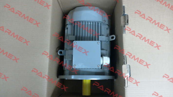 FCPA 132S-6 /PHE AC Motoren