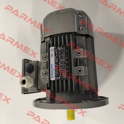FCA 80B-4/PHE AC Motoren