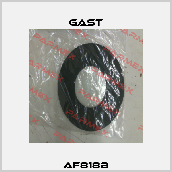 AF818B Gast