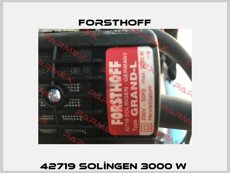 42719 SOLİNGEN 3000 W  Forsthoff