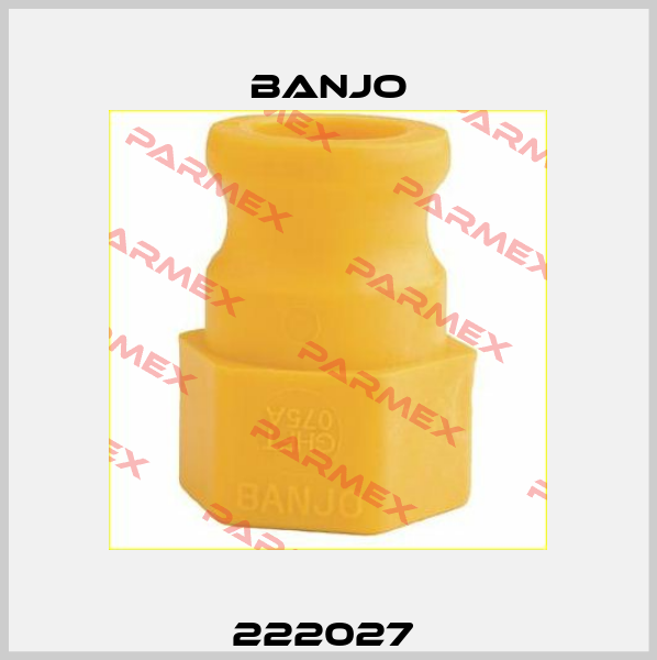 222027  Banjo