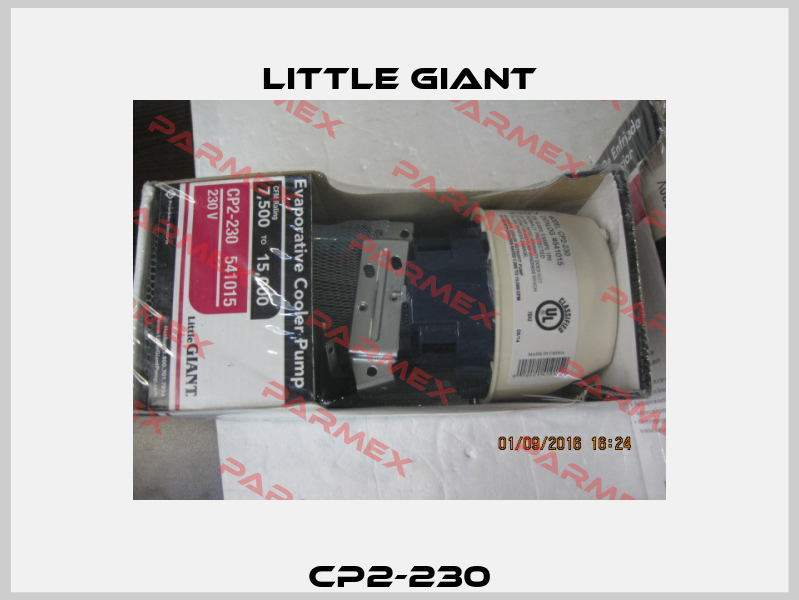 CP2-230 Little Giant