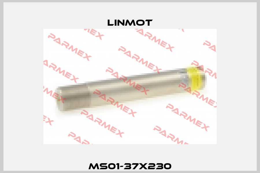 MS01-37x230 Linmot