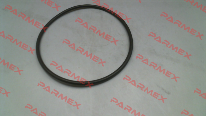 P0602 Pasquin