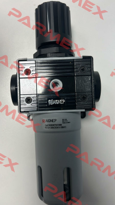 T030307241000 Aignep