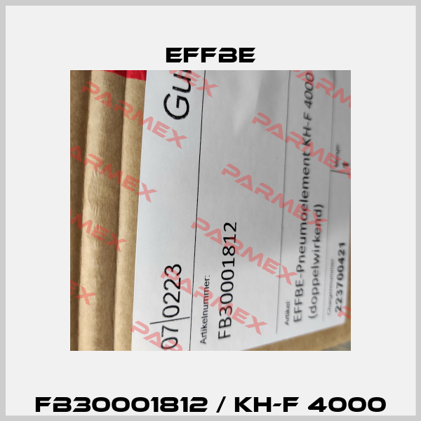 FB30001812 / KH-F 4000 Effbe