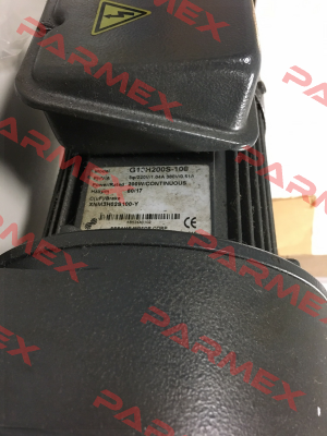 G13H200S-100 Sesame Motor