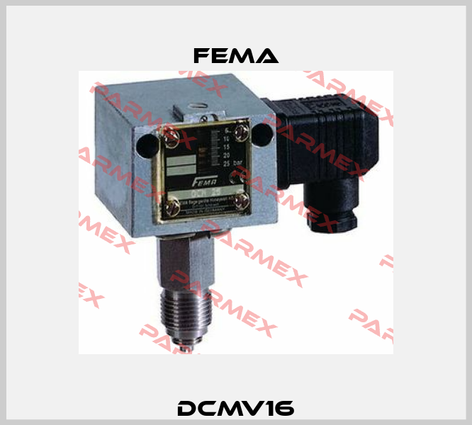 DCMV16 FEMA