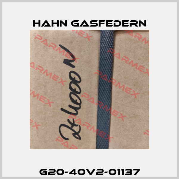 G20-40V2-01137 Hahn Gasfedern